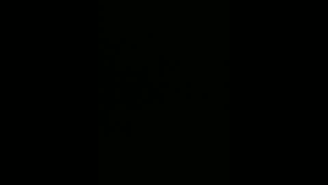 warp147 online show from April 11, 2026, 2:49 am