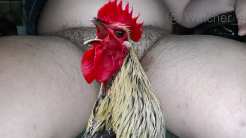 classified online show from December 8, 2024, 8:15 pm