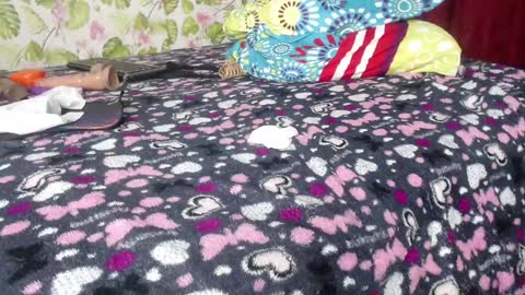 sandia online show from December 13, 2024, 1:33 pm