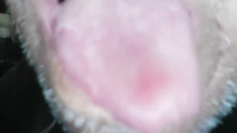 wayne1311 online show from January 23, 2025, 4:26 pm