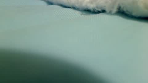 webbo809 online show from March 16, 2026, 4:33 pm