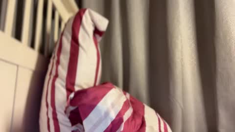 Maggie online show from October 13, 2025, 4:07 pm