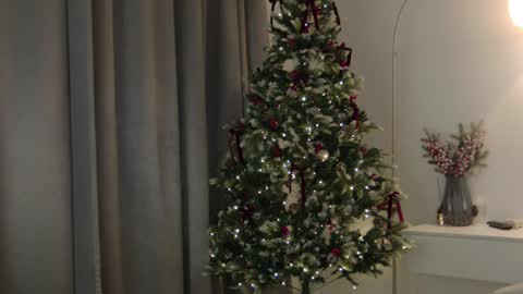 CAREN online show from January 8, 2025, 12:47 pm