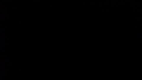 wellingtont online show from February 1, 2026, 11:36 pm