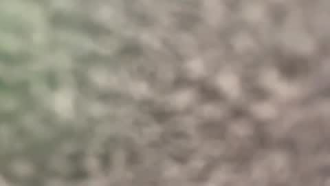 Eva online show from April 4, 2026, 11:18 am