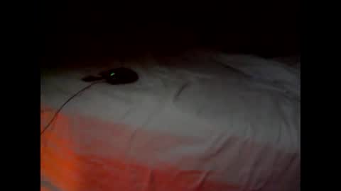 Snapshot of wgefwdtfvnlx chatting on February 25, 2026, 7:34 pm wgefwdtfvnlx online show from February 25, 2026, 7:34 pm