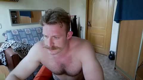 Snapshot of whitebull97 chatting on June 30, 2026, 2:40 pm WhiteBull online show from June 30, 2026, 2:40 pm