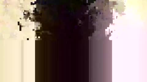 whitedood432 online show from November 28, 2025, 12:19 pm