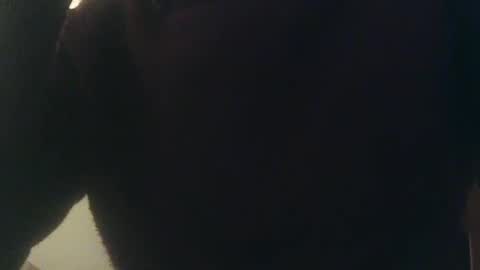 Snapshot of whiteduke81 chatting on January 3, 2025, 12:33 am Whiteduke online show from January 3, 2025, 12:33 am