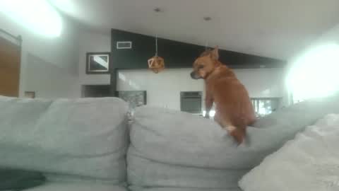 whitepantieman online show from January 28, 2025, 10:12 pm