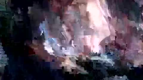 whitpine1 online show from April 9, 2026, 3:06 am