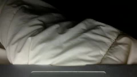 wholesomebull00 online show from November 10, 2025, 4:55 am