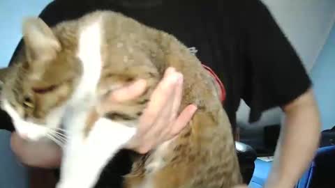 Tommy online show from December 30, 2024, 10:21 am