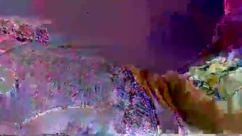 wild lemont online show from September 29, 2025, 12:21 pm