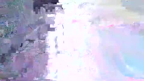 wild lemont online show from November 1, 2025, 11:34 am