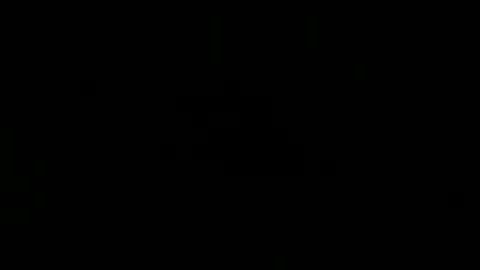 wild lemont online show from February 25, 2026, 11:58 pm