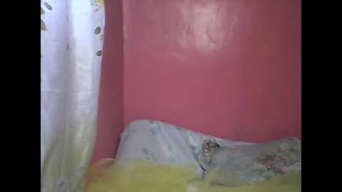 wild_sunflower11 online show from December 25, 2024, 3:40 am