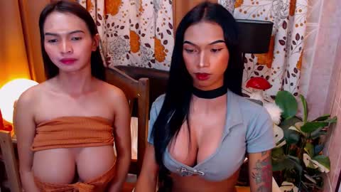 Snapshot of wildara chatting on February 8, 2025, 2:26 am wildara online show from February 8, 2025, 2:26 am
