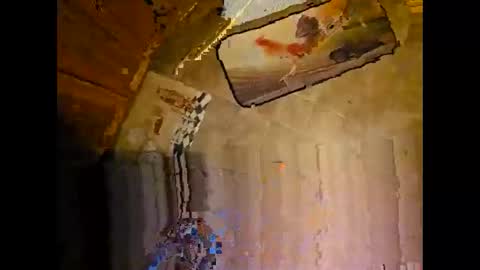 wildman2900 online show from December 8, 2024, 3:24 pm