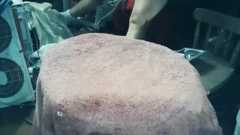 wildman6 online show from March 27, 2026, 7:46 pm