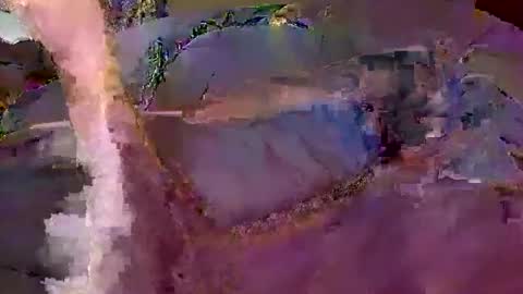 Snapshot of wildmanbobby chatting on February 20, 2026, 5:02 pm bobby banks online show from February 20, 2026, 5:02 pm