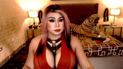 wildtransjhade online show from January 19, 2025, 6:43 pm