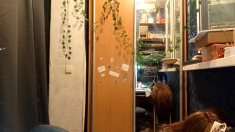 Phoebe online show from February 11, 2026, 8:47 pm