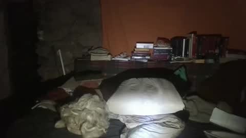 willy2969 online show from January 30, 2025, 3:11 am