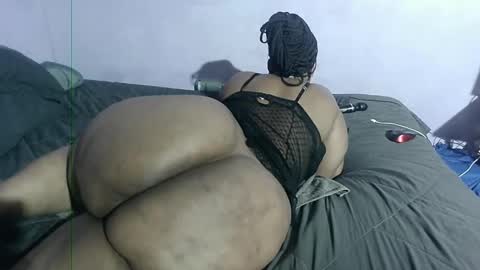 wilmaassylum online show from January 26, 2025, 1:36 pm