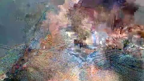 wolf boy online show from February 2, 2026, 3:49 am