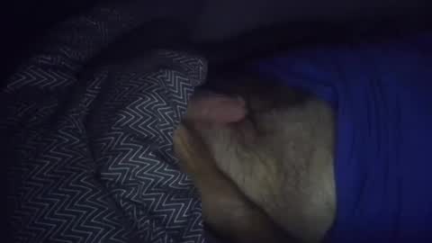 wolleysheep online show from November 2, 2025, 6:16 am