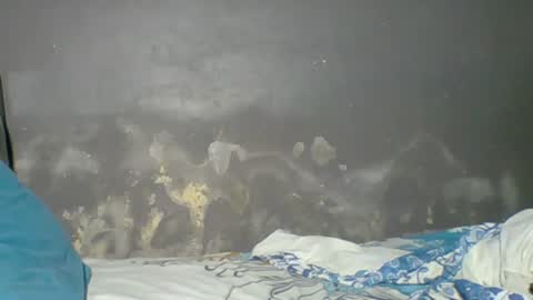 Snapshot of wonders0786 chatting on July 4, 2026, 4:29 am Your black bunny online show from July 4, 2026, 4:29 am