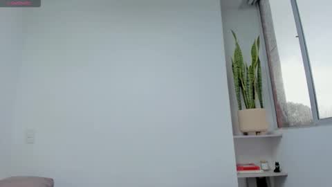 Xavier online show from November 18, 2025, 7:40 pm