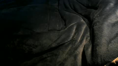 Toke online show from January 6, 2025, 12:35 pm