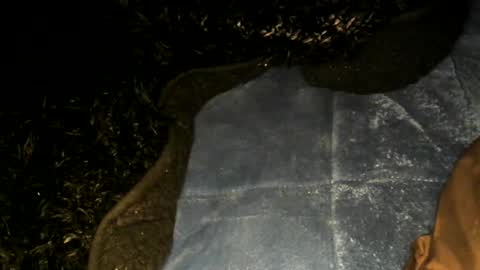 Toke online show from January 22, 2025, 9:57 am