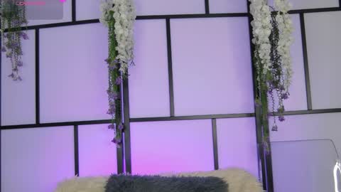 Snapshot of xenomy chatting on February 25, 2026, 8:02 am xenomy online show from February 25, 2026, 8:02 am