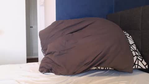 xhotfanx online show from January 1, 2025, 11:05 am