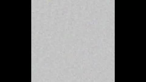 JSSD online show from November 24, 2025, 11:54 am