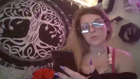 xkittymeowz online show from April 17, 2026, 8:17 am