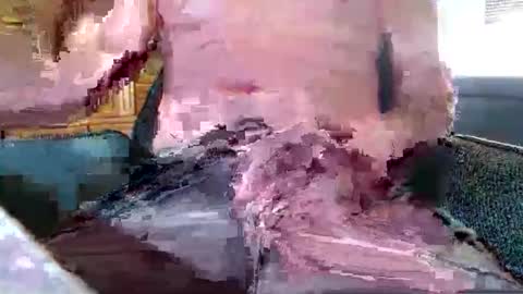 Snapshot of xmen43hot chatting on September 18, 2025, 8:49 am xmen43hot online show from September 18, 2025, 8:49 am