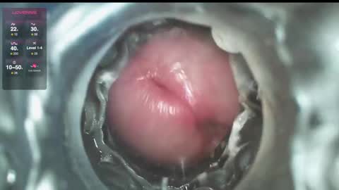 Snapshot of xoxowtf chatting on December 1, 2024, 9:48 pm xoxowtf online show from December 1, 2024, 9:48 pm