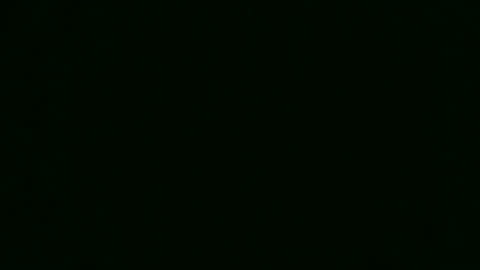 Kelsey online show from December 14, 2024, 11:34 pm