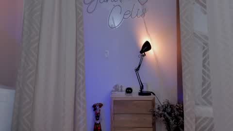 YANDRA CELIS online show from December 24, 2024, 11:11 pm