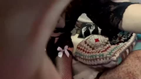 yanyanpixie online show from December 19, 2025, 4:03 pm