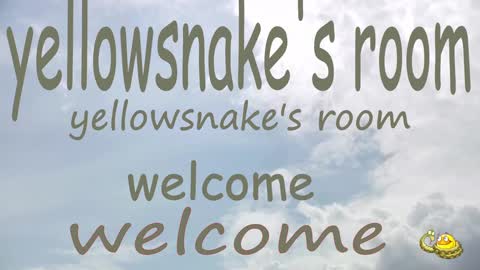 Snapshot of yellowsnakes chatting on September 30, 2025, 10:37 pm . y e l l o w s n a k e s . online show from September 30, 2025, 10:37 pm