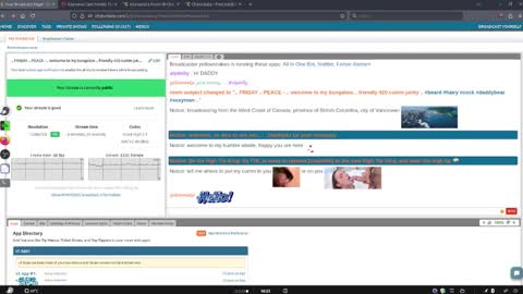 .     y e l l o w s n a k e s       . online show from March 20, 2026, 10:25 pm