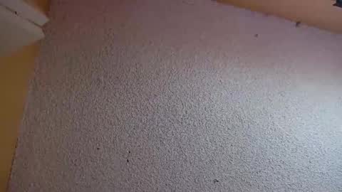 Sophiestar online show from March 5, 2026, 7:21 pm