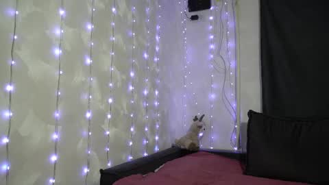 Meri  online show from February 20, 2026, 9:15 pm