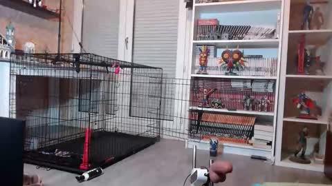 Snapshot of your_sissy_bitch chatting on February 19, 2026, 7:10 pm Owned by Hell On Heels online show from February 19, 2026, 7:10 pm