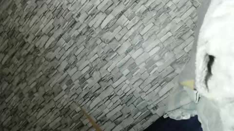 Snapshot of yourlittle_angel69 chatting on February 23, 2026, 2:14 pm angel online show from February 23, 2026, 2:14 pm